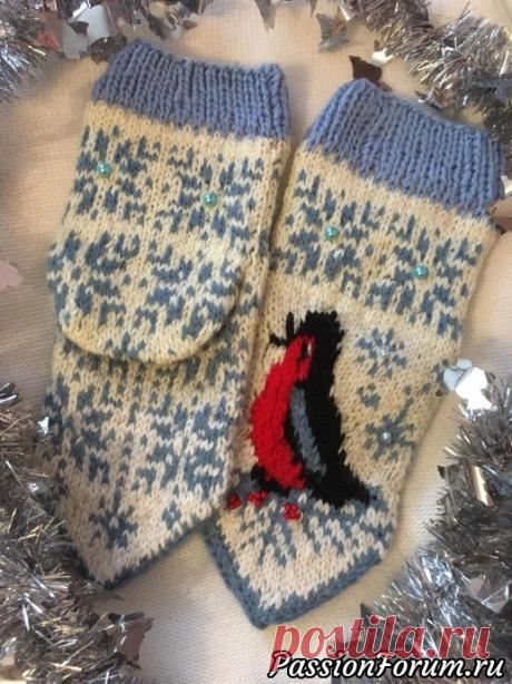 Носочки "Снегири". Связаны спицами. Схема. - запись пользователя Антонида в сообществе Вязание спицами в категории Вязание спицами аксессуаров