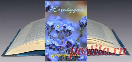 Наталья Брониславовна Медведская. Книга: Незабудка. Скачать, Читать бесплатно | Бесплатные книги