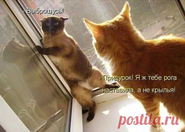 ♥♥Житейская мудрость ♥♥