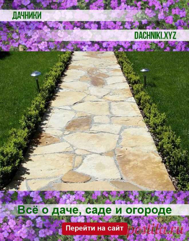 4 полезных совета по обеспечению стока дождевой воды с садовой дорожки #сад #дача #растения #огород