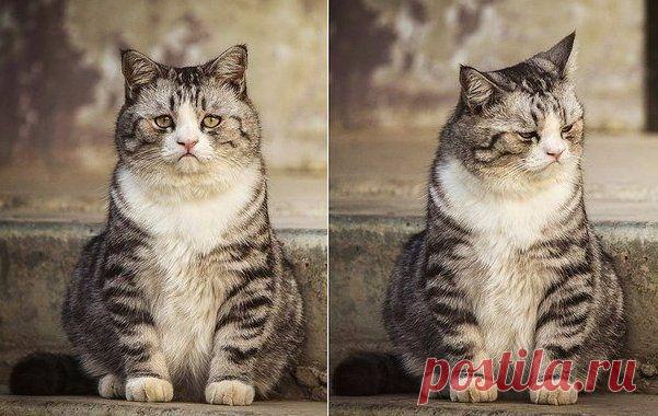 Так выглядит печаль