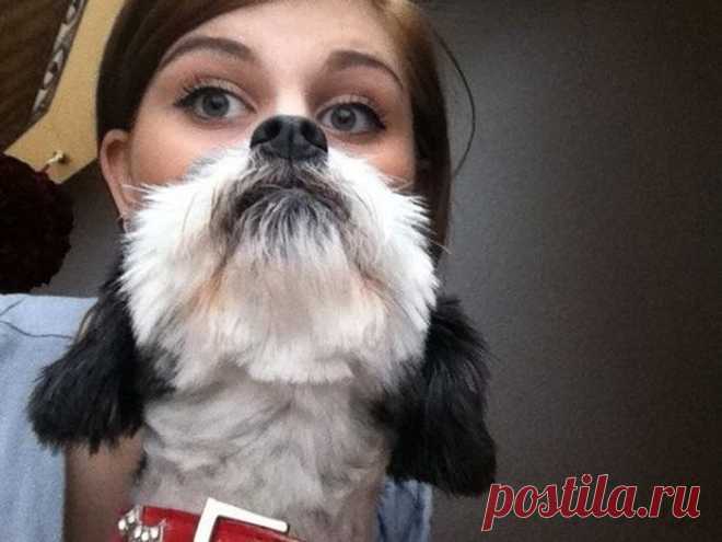 Показалось, не факт - внимательность вот истина!!!