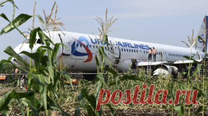 МАК опубликовал финальный отчёт о посадке Airbus в кукурузном поле в 2019 году. Самолёт А321 авиакомпании «Уральские авиалинии», совершивший жёсткую посадку в кукурузном поле в Московской области в августе 2019 года, при взлёте столкнулся со стаей чаек, следует из окончательного отчёта Межгосударственного авиационного комитета (МАК). Читать далее