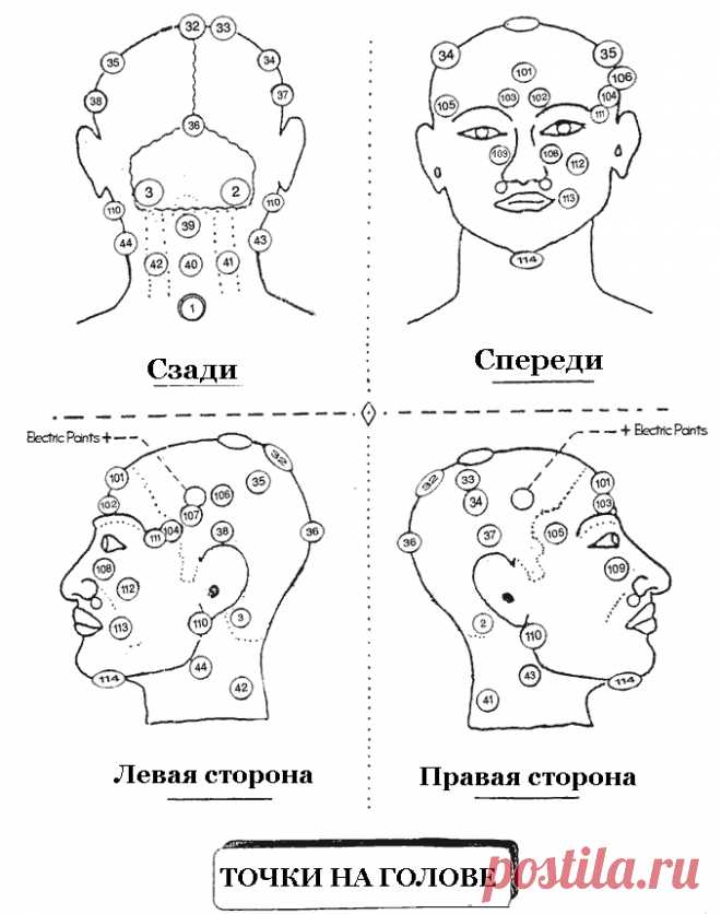 Схема точек для проведения Хиджамы