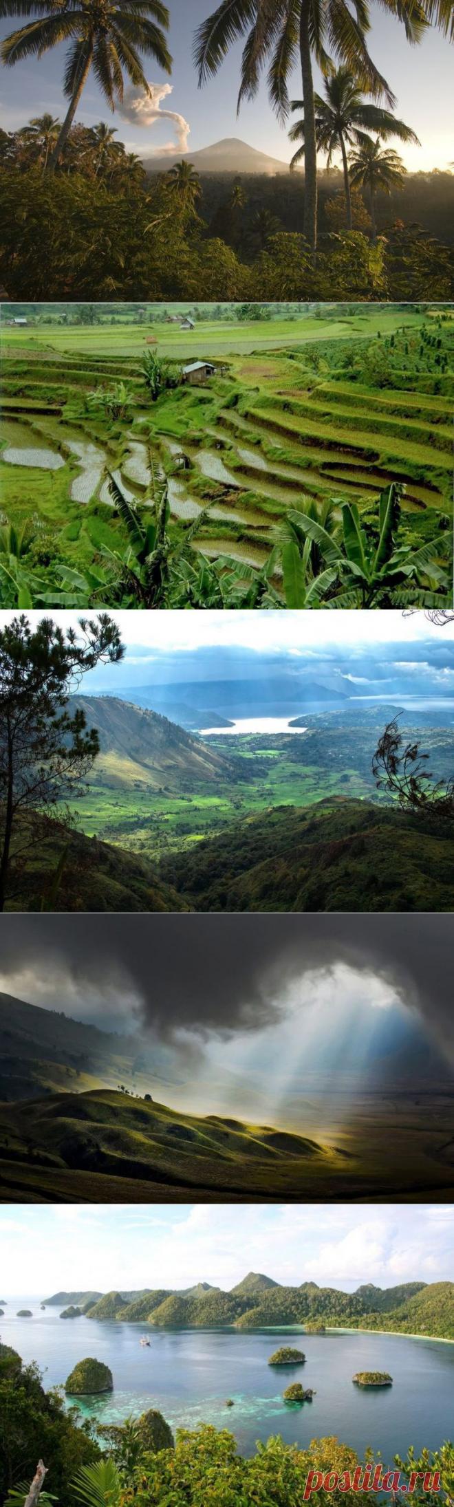 За что мы любим Индонезию / Туристический спутник