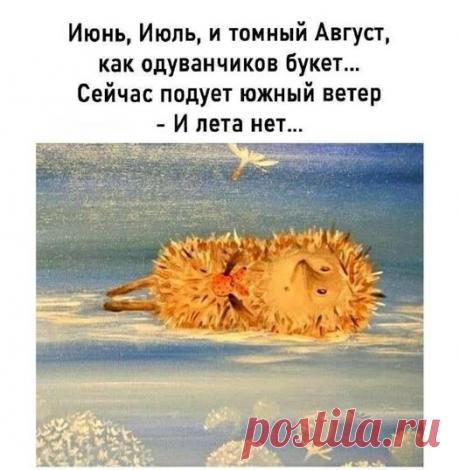 96c1863e.jpg (526×538)