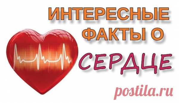 Очень интересные факты о сердце