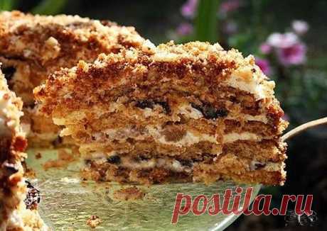 Торт Белочка - пошаговый рецепт с фото. Автор рецепта Вера Широкова . - Cookpad