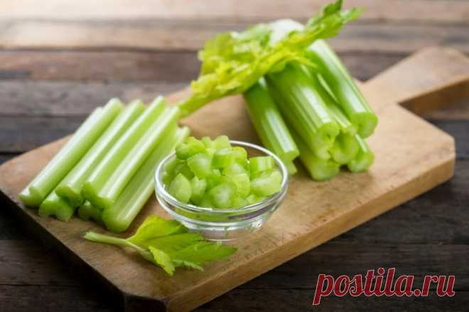 Сельдерей чем полезен для организма человека?