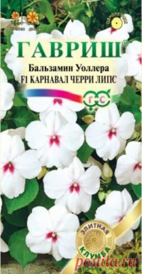 Семена. Бальзамин Уоллера "Карнавал Черри Липс F1" (5 штук) Всхожесть: 95%.
Компактный куст высотой 25-30 см, диаметром 25-30 см. Цветки белые с малиновым глазком, диаметром 5 см. Хорошо растет в полутени. Обильно цветет. Влаголюбив, но не переносит переувлажнения. Для клумб, кашпо и цветников. Можно выращивать как комнатное растение.
