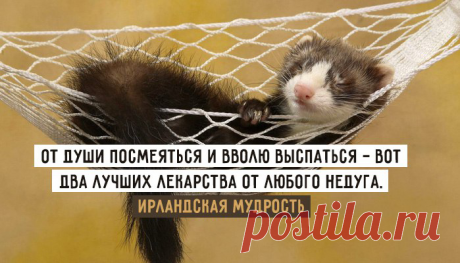 Золотые слова.