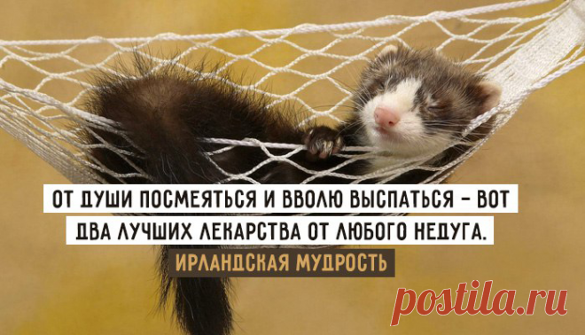 Золотые слова.