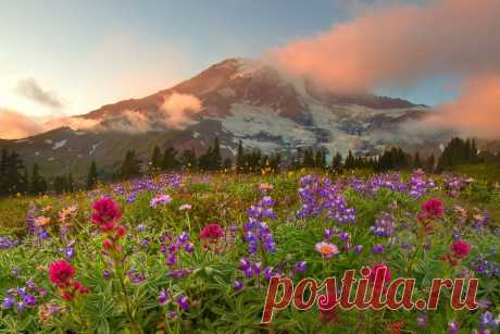 Национальный парк Олимпик (Olympic National Park), США | Newpix.ru - позитивный интернет-журнал