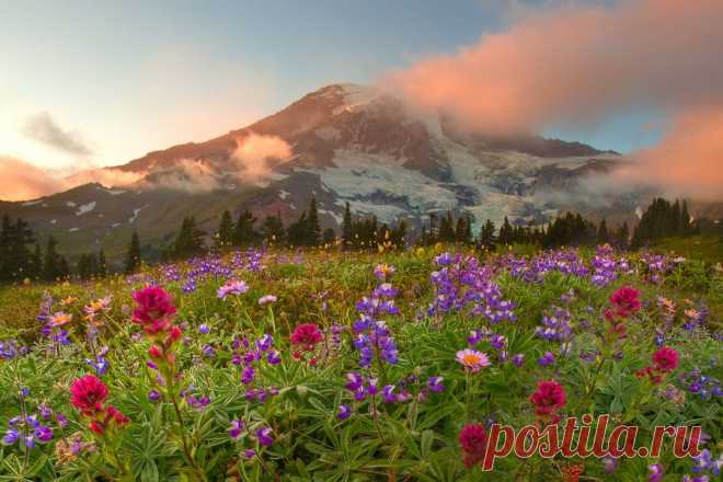 Национальный парк Олимпик (Olympic National Park), США | Newpix.ru - позитивный интернет-журнал