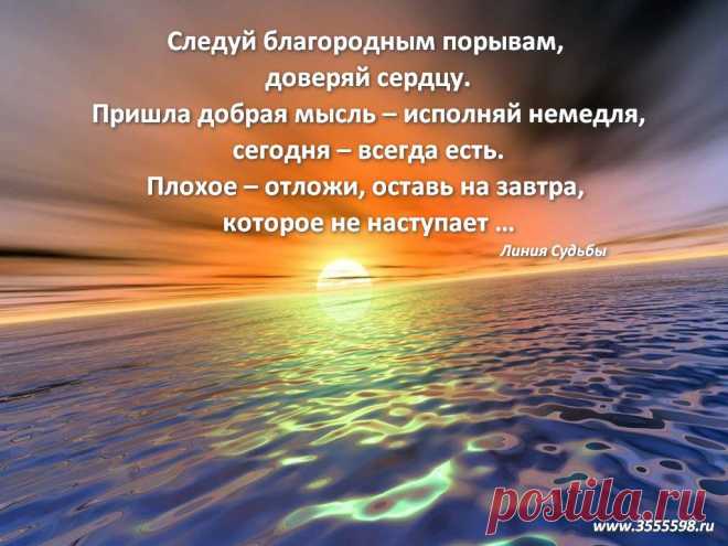 ТС "Линия Судьбы"