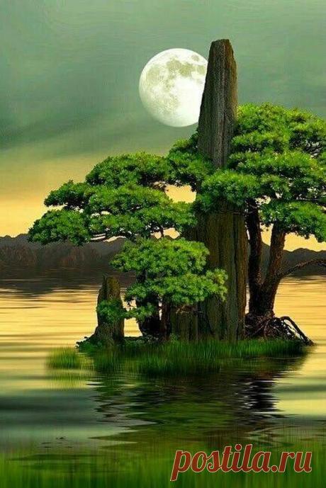 Sandra F catalan - Google+