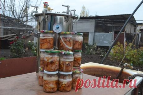 “Хочу сама заготовить консервы, но надоело тягать вёдра с водой”: нашла выход — специальный аппарат для кухни | Пенсионерские дела | Яндекс Дзен