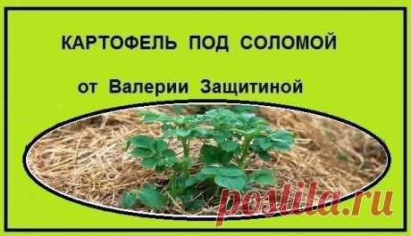 Татьяна Усова - Кустанай, Кустанайская область, Казахстан, 62 года на Мой Мир@Mail.ru
