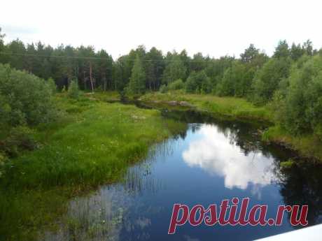 ФОТОМАСТЕРСКАЯ ПРИРОДЫ
Светлана Пыстина (Фомина)