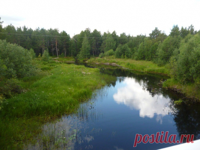 ФОТОМАСТЕРСКАЯ ПРИРОДЫ
Светлана Пыстина (Фомина)