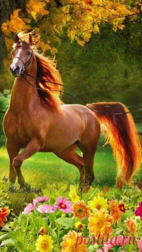 Horseback Riding Rules For Beginners - FashionActivation