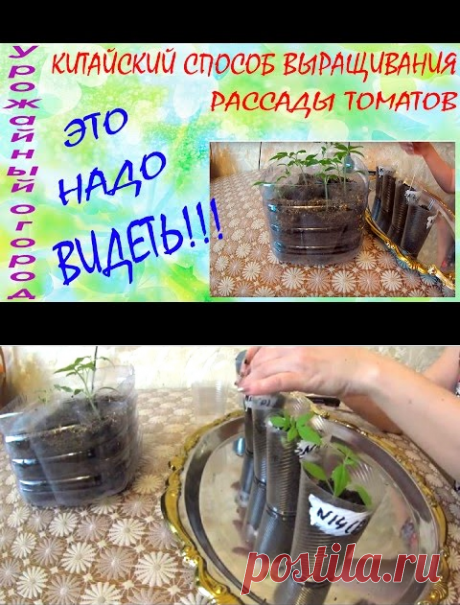 (11) Одноклассники