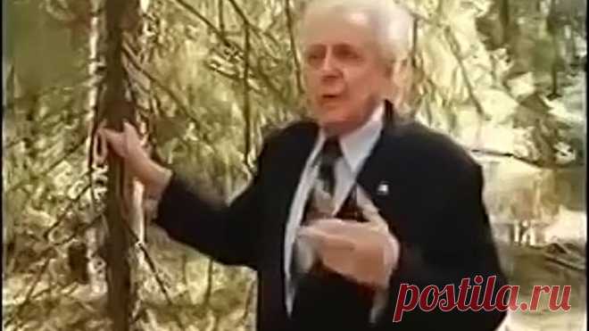 профессор Неумывакин И.П. ценные советы