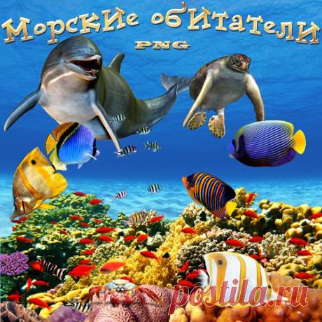 Клипарт - Морские обитатели.