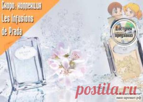 Новая коллекция ароматов Les Infusions de Prada - 18 Мая 2015 - Проект "Ваш-Аромат.ру": духи, другой парфюм, тесты