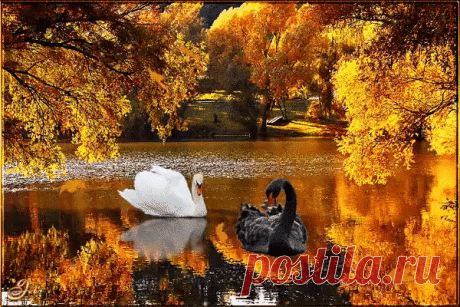 Мой Мир@Mail.Ru