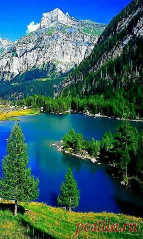 Pinterest (Pin) (157)