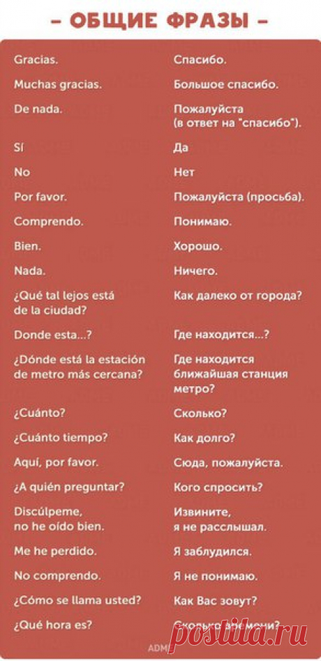 ✨ 🇪🇸 Фразы на испанском для начинающих. / Изучаем Испанский