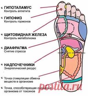 7 активных точек на стопе, вернут тебя к жизни за пару минут: Группа Женское здоровье