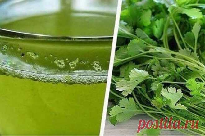 Кориандр от камней и болей в почках и от других болезней!