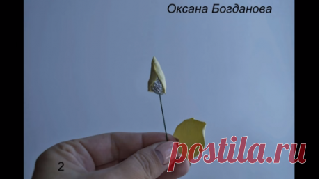 (62) Одноклассники