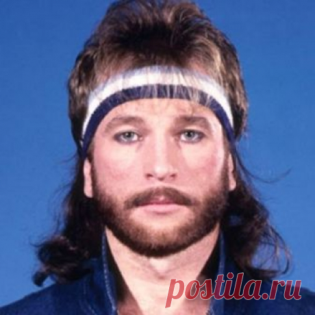 Лечение хвоей сосны, ели, кедра, пихты