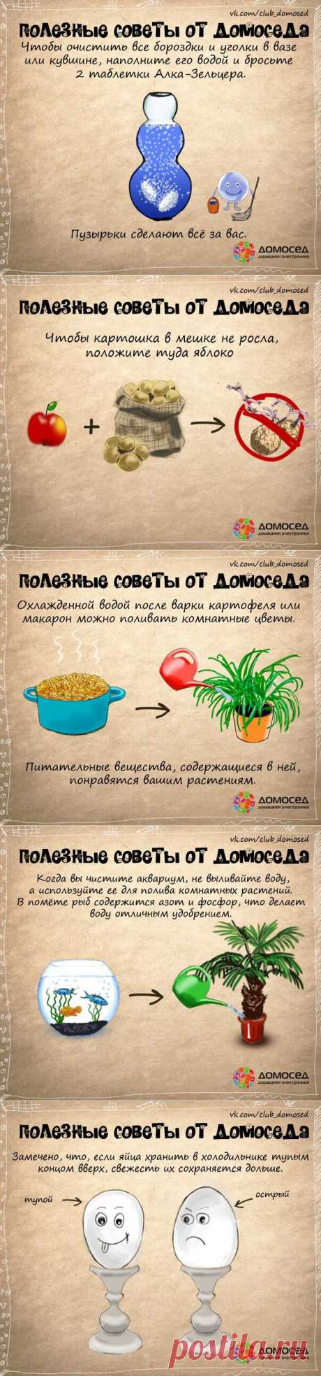 Очень полезные советы!.