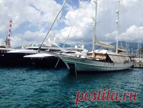 (5) Momir Matkovic
Porto Montenegro