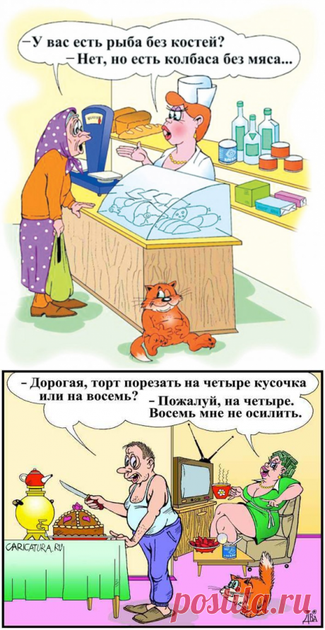 Анекдоты дня