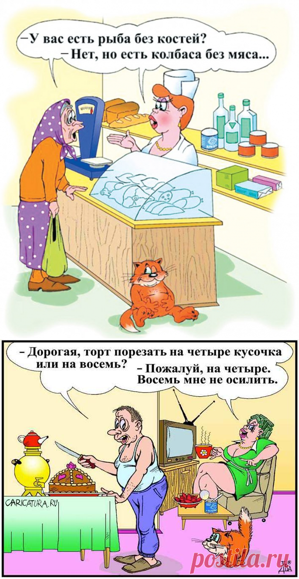 Анекдоты дня