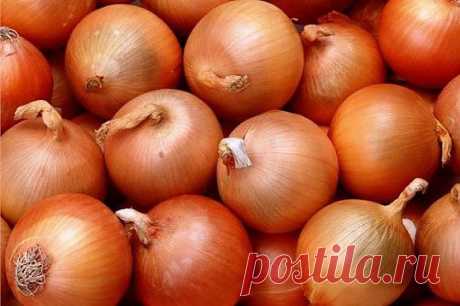 Луковый сироп для лечения кашля.