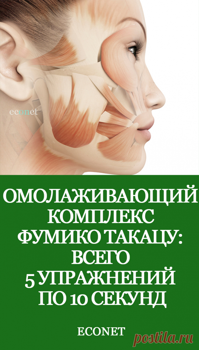 Омолаживающий комплекс Фумико Такацу: всего 5 упражнений по 10 секунд

Фумико Такацу – известная во всем мире японка, которая разработала специальные упражнения для лица, которые помогают выглядеть намного моложе, сделать внешность более яркой и привлекательной. Этот комплекс называют здоровой альтернативой пластическим операциям и инъекциям красоты.