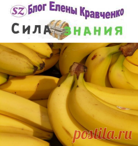 Банановая кожура как удобрение для комнатных растений и огорода