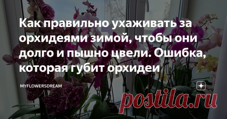Как правильно ухаживать за орхидеями зимой, чтобы они долго и пышно цвели. Ошибка, которая губит орхидеи Всем привет!
За окном настоящая Русская зима. Огромные сугробы снега, сильные трескучие морозы, а на подоконнике тропический сад. Мои орхидеи пышно  цветут во всю, уже несколько месяцев и не даже не думают отцветать, а наоборот выпустили новые побеги с бутонами (хитрость в  обрезке).
Но сегодня я хочу Вам рассказать, как правильно ухаживать за орхидеями в холодное время...