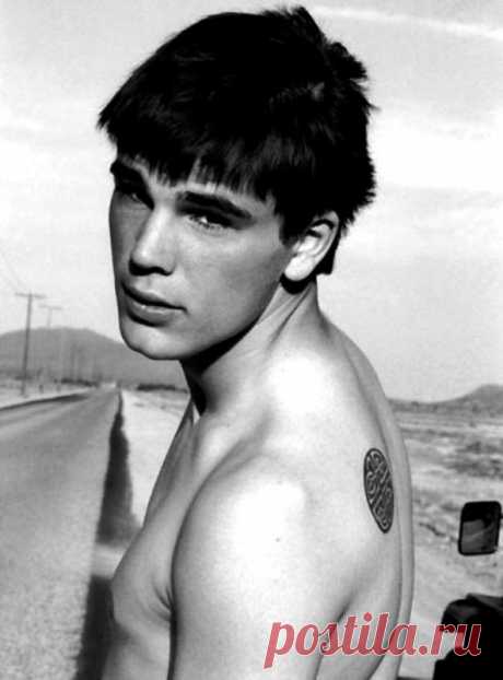 Джош Хартнетт