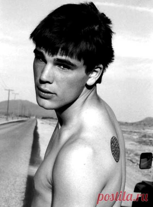 Джош Хартнетт