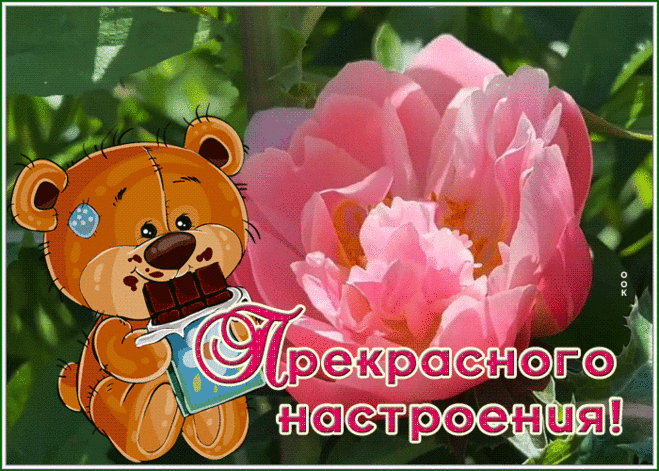 Нежная картинка прекрасного настроения с мишкой