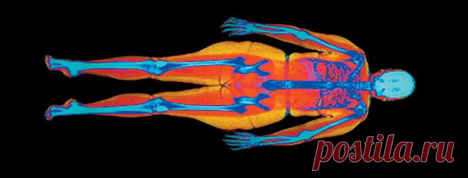 Саркопеническое ожирение: жир вместо мышц  Cекрет здоровых мышц до глубокой старости
 
Очень часто бывает так, что вес человека остается прежним, не меняются объемы конечностей, но человек начинает незаметно жиреть.
Сегодня мы поговорим про «…
