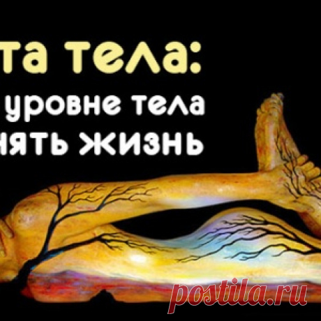 Карта тела: Как на уровне тела поменять жизнь - МирТесен