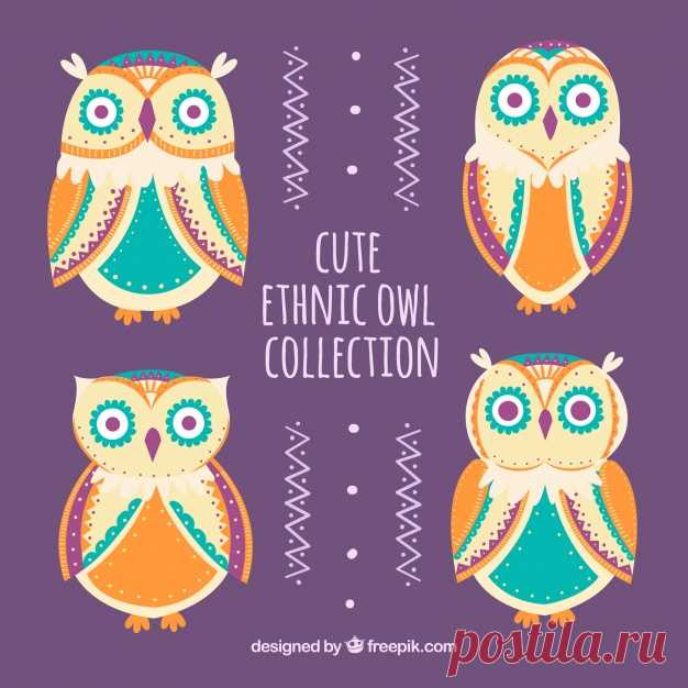 Пакет из четырех красочных этнических сов Более миллиона свободных векторов, PSD, фотографии и бесплатные иконки. Эксклюзивные халявы и все графические ресурсы, которые необходимые для ваших проектов